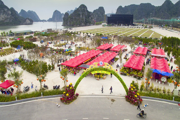 halong january and february