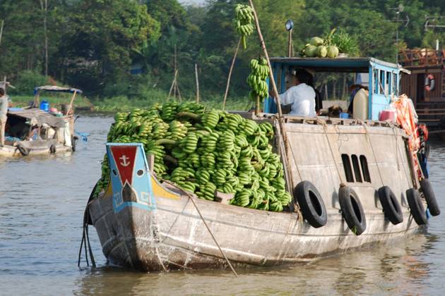 A Boat full of banana in Cai Be Floating Market