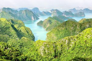 Cat Ba National Park - Halong Bay Tours