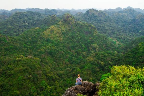 cat ba national park from mountain