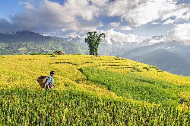 sapa in autumn sapa tours