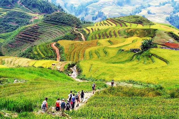 sapa in summer sapa tours