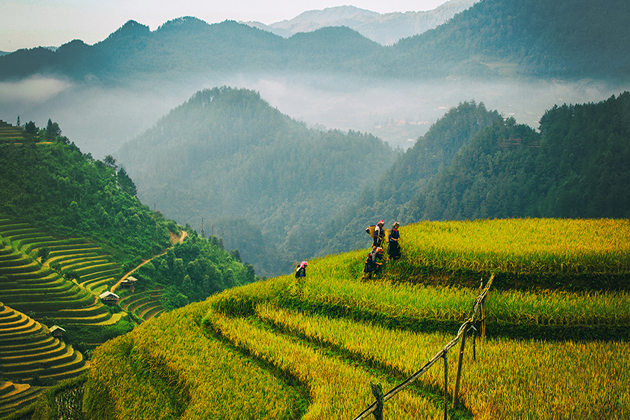 sapa nature sapa tours