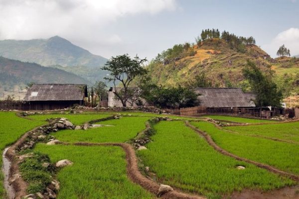 sin chai village sapa laocai