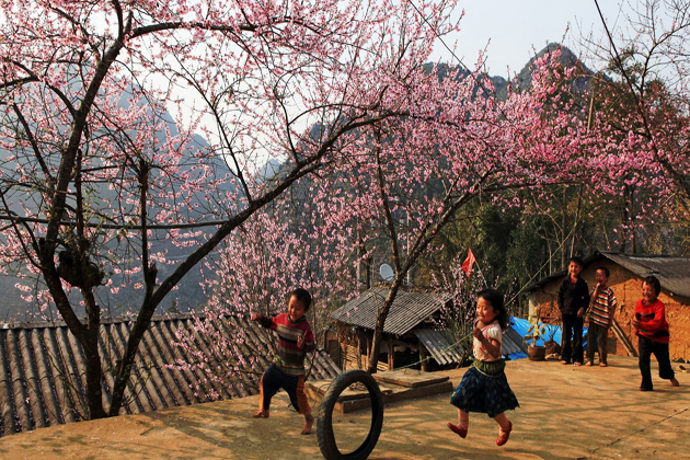 spring in sapa sapa tours