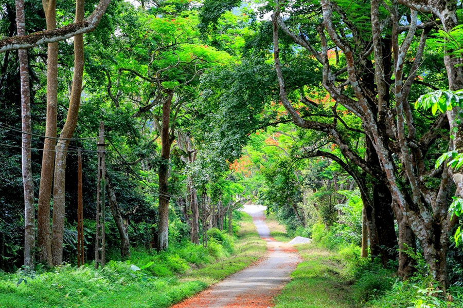 Cat Tien National Park in Vietnam