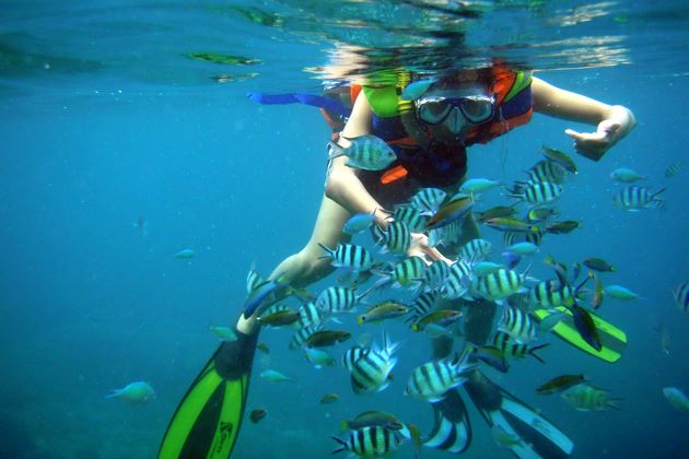 Snorkeling and scuba diving in Nha Trang