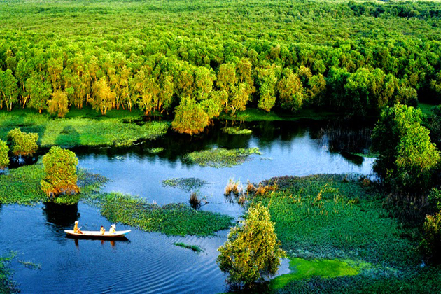 Tra-Su-Indigo-Forest-chau-doc-vietnam-vacation.jpg