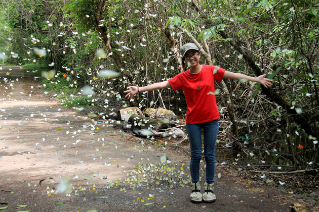 butterfly hunting vietnam vacation