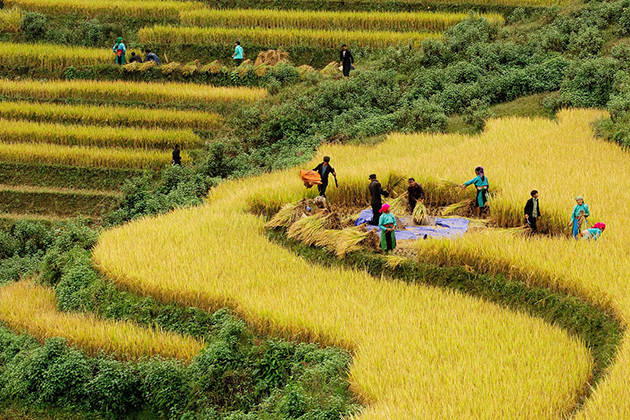 sapa rice terraces - vietnam adventure tour