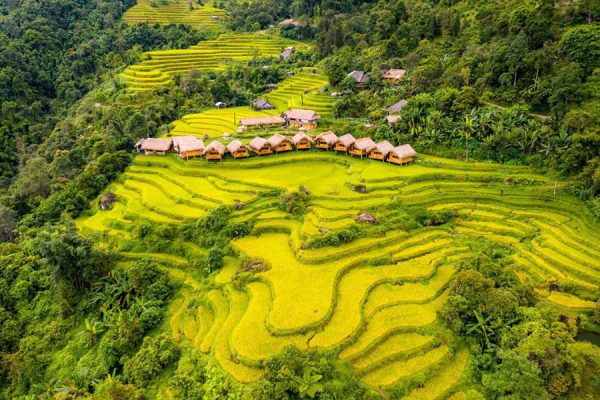 Hoang Su Phi Ha Giang