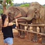 Mandalao Elephant Conservation