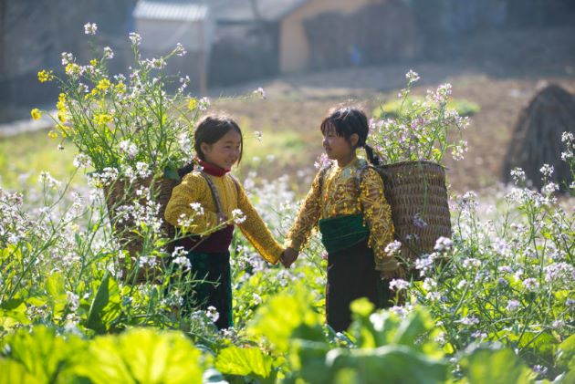 local children in sapa lao cai