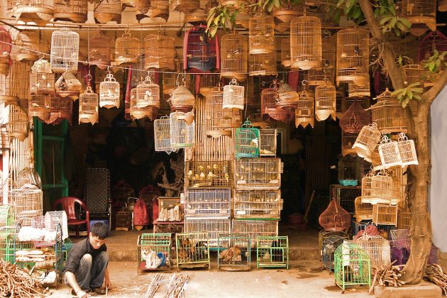 a store in hanoi old quarter should not be missed in vietnam classic tours