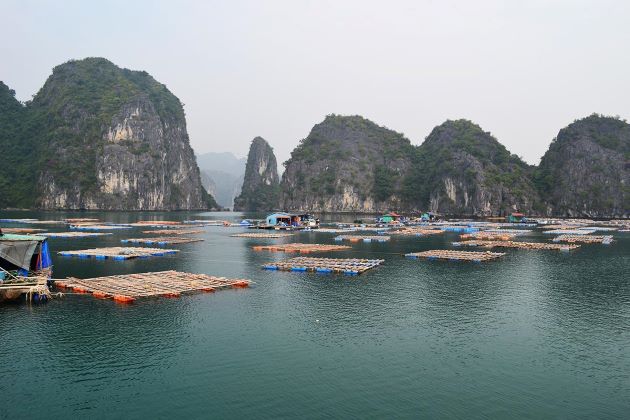 fishing village in lan ha bay - vietnam adventure tours