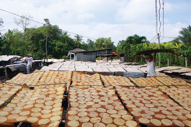 rice paper making in mekong delta