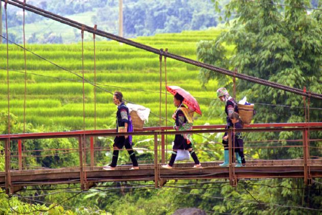 a bridge in sapa lao cai