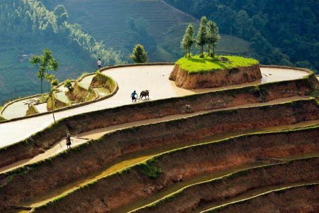 ha giang tour in depth 5 days