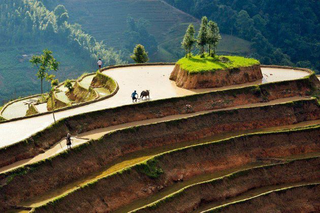 hoang su phi stunning rice terraces