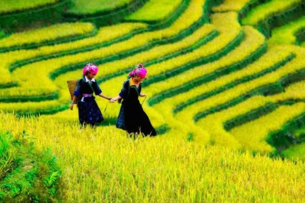 local ethnic people in sapa vietnam