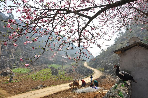 local village of ethnic minorities in ha giang