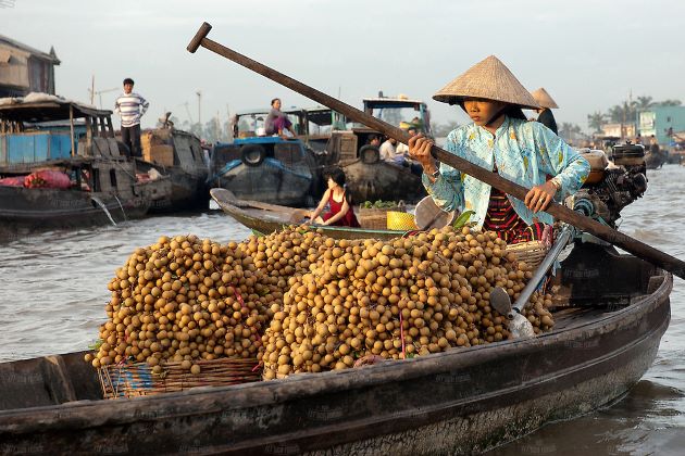 the sampan of fruits in cai rang floating market