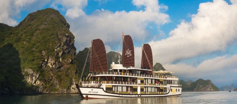 Orchid Cruise in halong bay