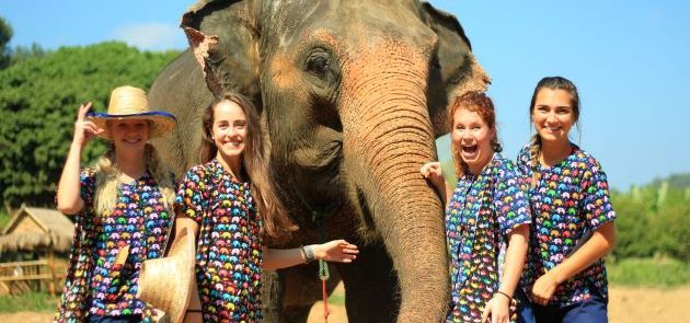 experience Elephant Sanctuary in thailand vietnam vacation packages