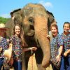 experience Elephant Sanctuary in thailand vietnam vacation packages