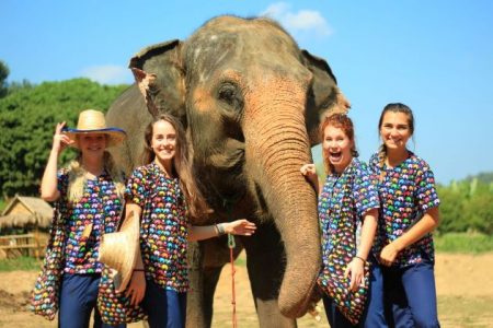 experience Elephant Sanctuary in thailand vietnam vacation packages