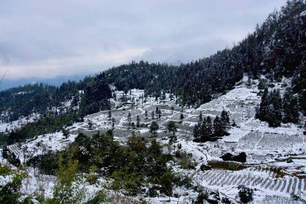 the winter of snow in ha giang