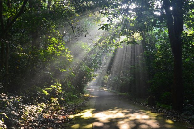cuc phuong national park in ninh binh vietnam