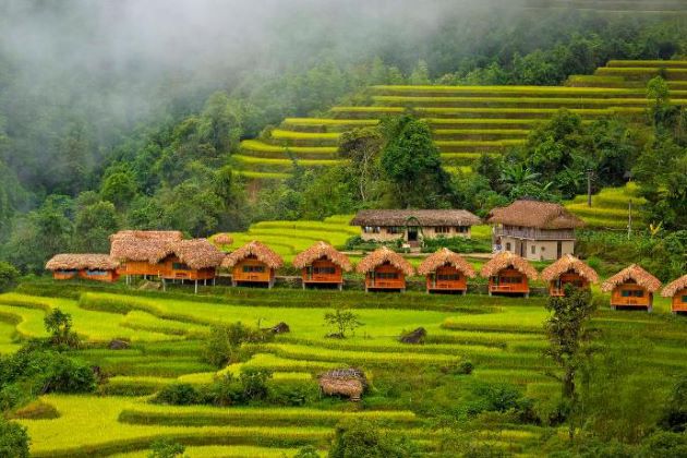 rice terrace and local stilt house in hoang su phi ha giang