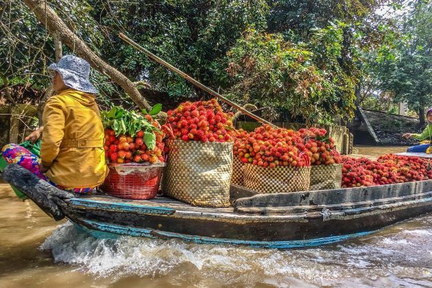 sampan at mekong delta vietnam luxury tours