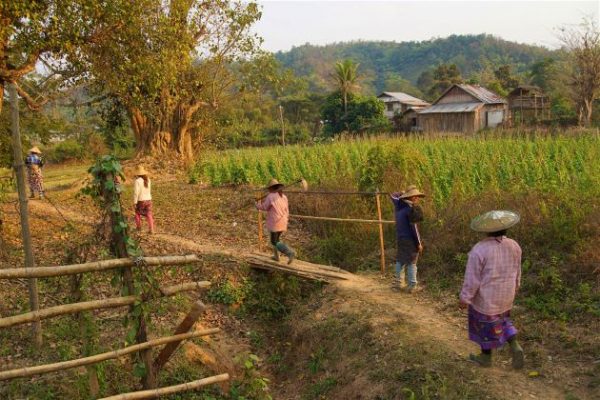 myanmar trekking to local village