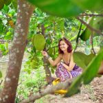 visit fruit orchard in mekong delta