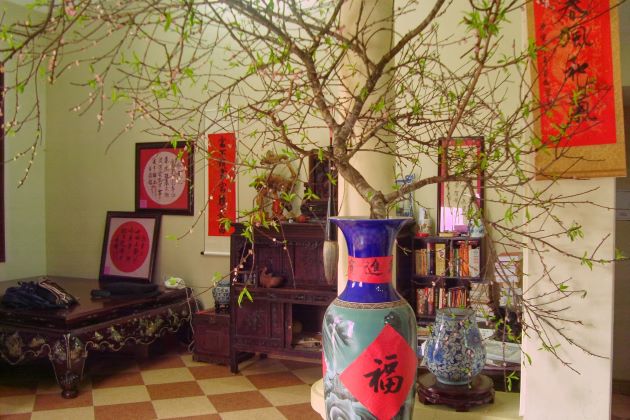 tet holiday decorations