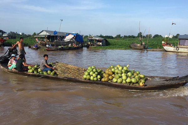 Boat With Coconuts And Bonsais In Cai Be Floating Market