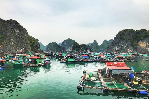 Cua Van Floating Village - Halong Bay Cruise Tours