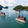 Pelican Cruise - Halong Bay Tours