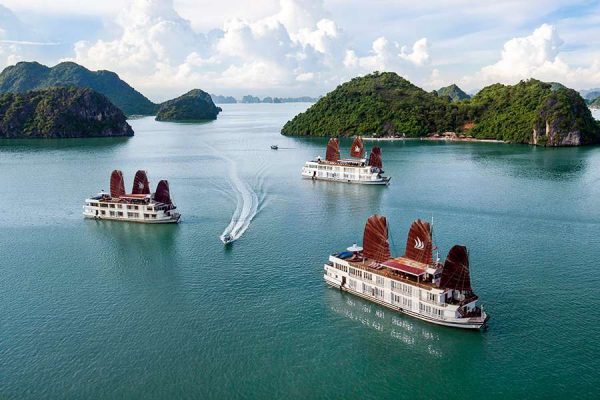 Pelican Cruise - Halong Bay Tours