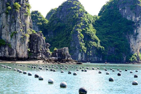 Tung Sau Area - Halong Bay Tours