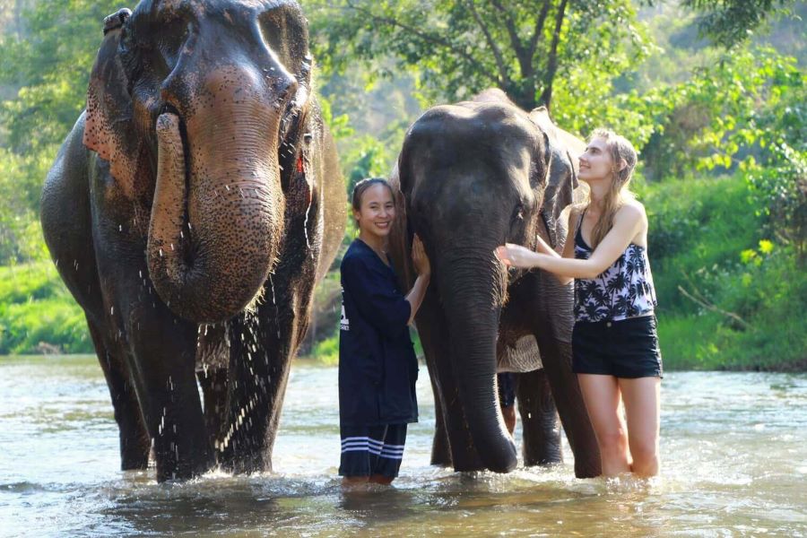 chiang rai elephants thailand vietnam cambodia itinerary