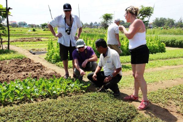 farming tour in hoi an quang nam