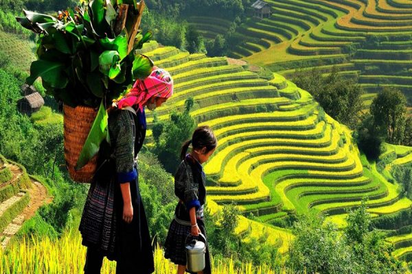 Happy Child In North Vietnam Vacation Packages