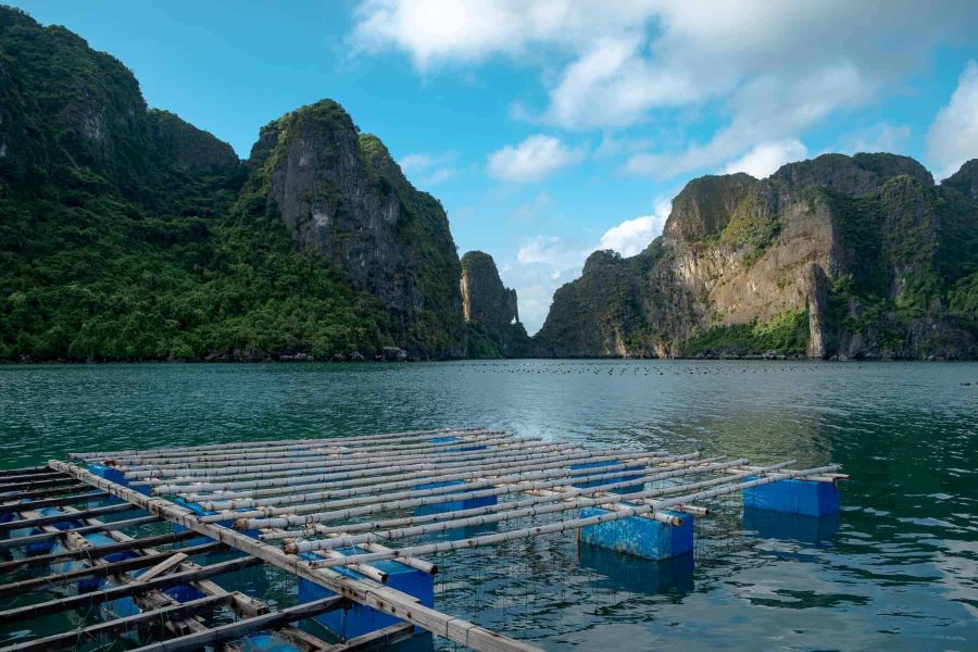 the pearl farm in halong bay