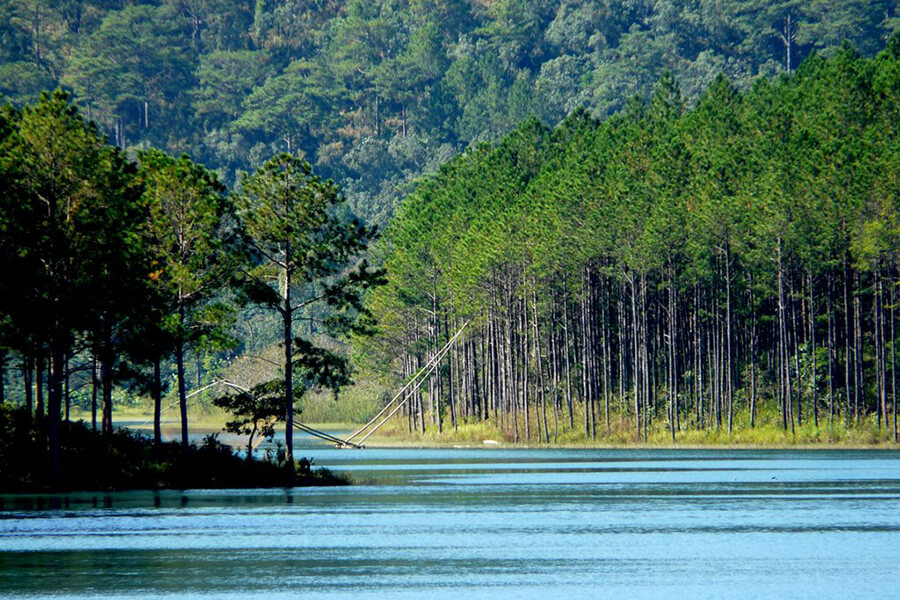 Tuyen Lam Lake In Dalat