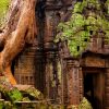 vietnam tours to angkor wat