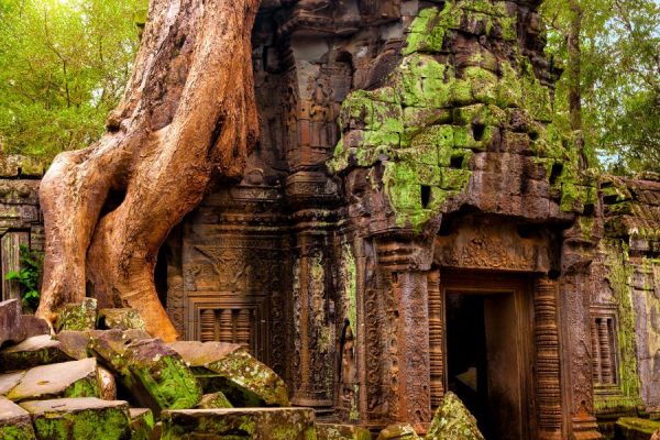 vietnam tours to angkor wat