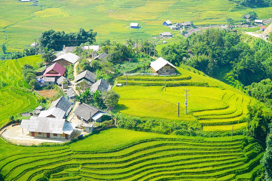 Visit Y Linh Ho Village In Sapa Town